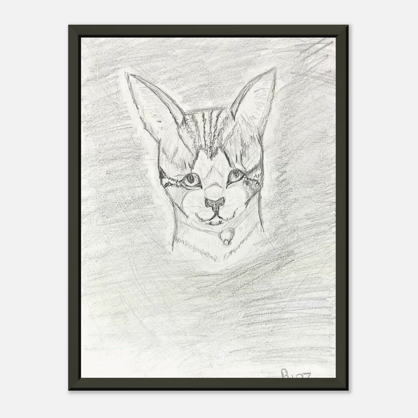 3 Bella's Triumph - A Captivating Pencil Portrait