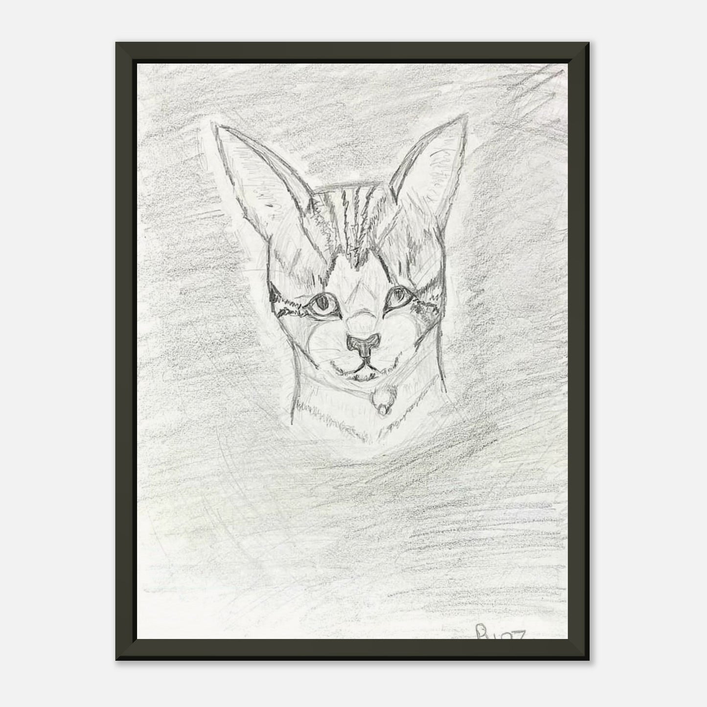 3   Bella's Triumph - A Captivating Pencil Portrait