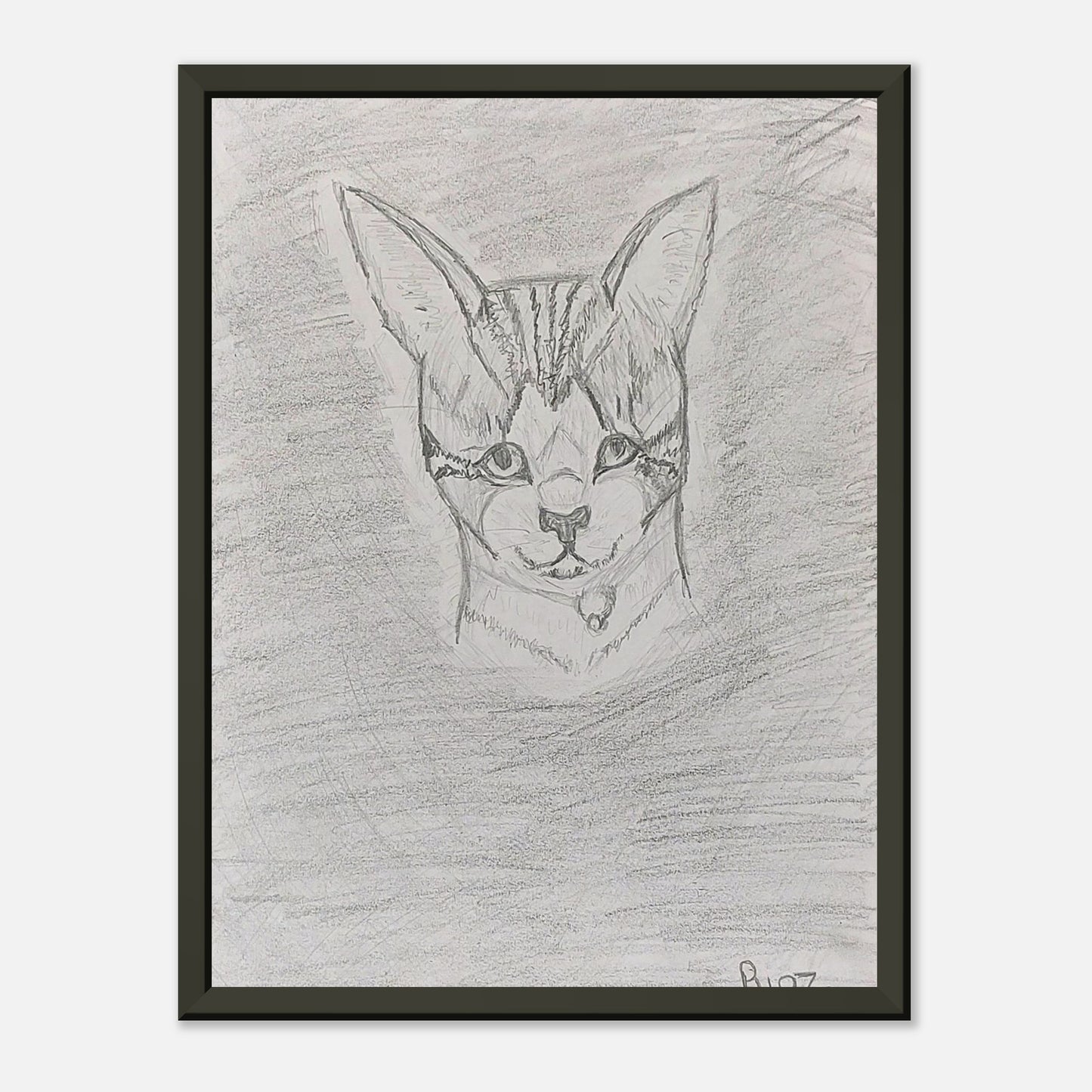 932 Bella the Super Cat: A Tail of Resilience, Triumph, and Unstoppable Love.
